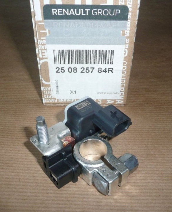 RENAULT CLİO 5 (V) ESKİ KUTUP BAŞI (+) 250825784R
